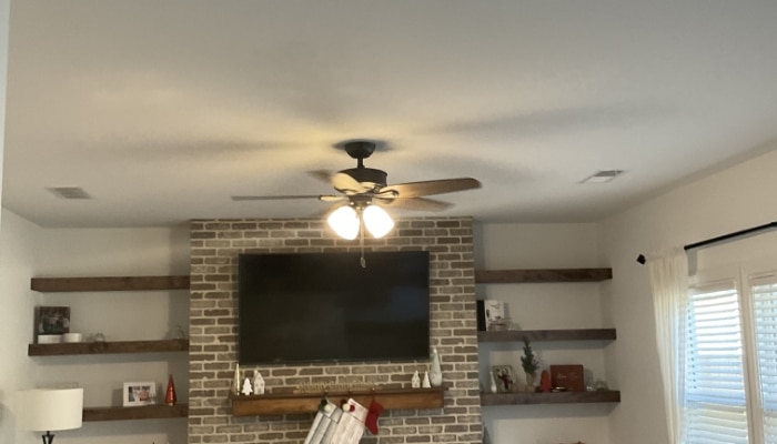 Ceiling Fan Ceiling Fan